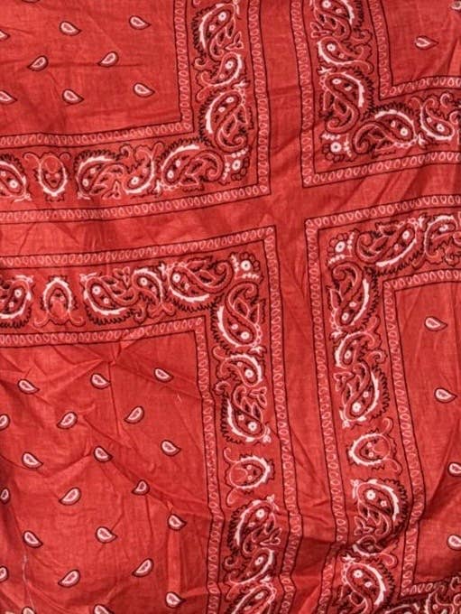 The Round Top Boyfriend Blouse in Red — flat lay